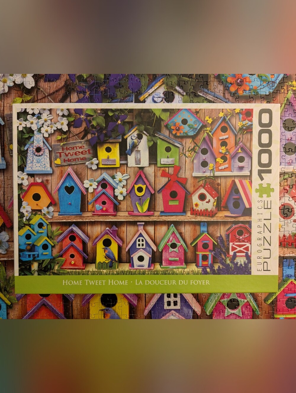 Eurographics 1000 Piece Puzzle